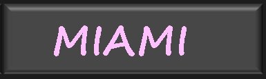 Miami Female Strippers, Bachelor Party Exotic Dancers